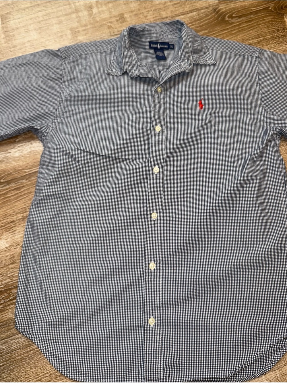 Ralph Lauren Navy and White Gingham Button-Down Shirt with Red Pony